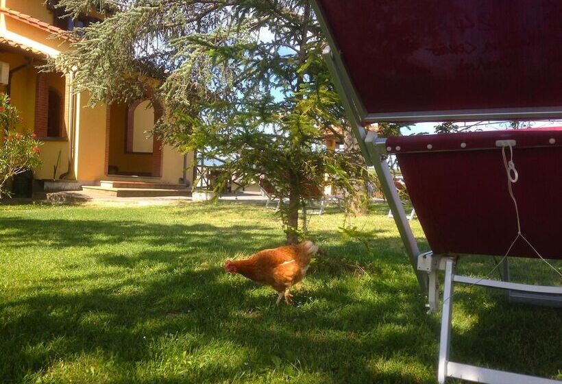 Сельский отель Toscana Ranch