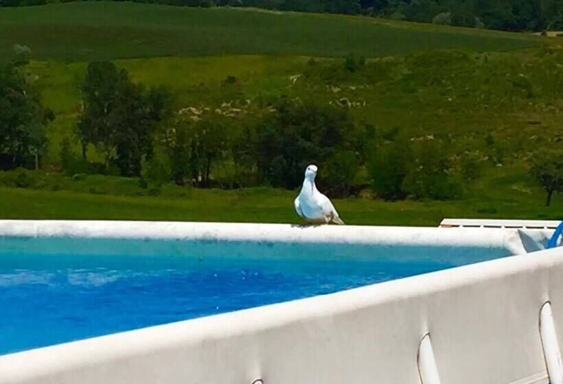 Сельский отель Toscana Ranch