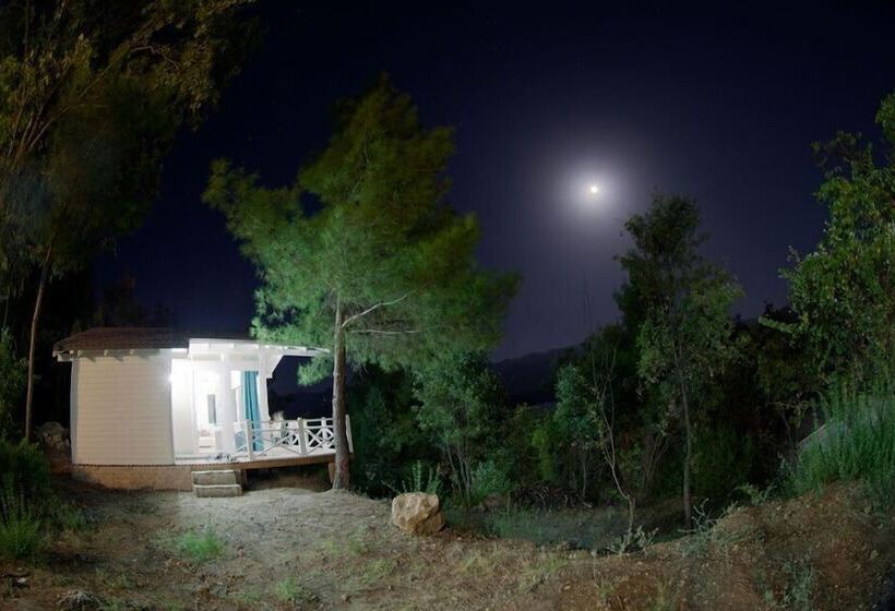 호텔 Sakli Gol Evleri