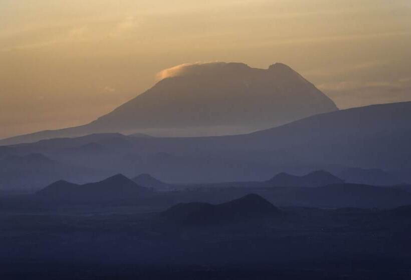 ホテル Shu'mata Camp