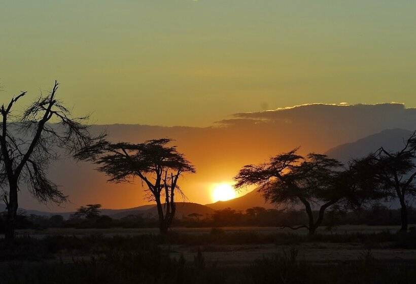 ホテル Shu'mata Camp