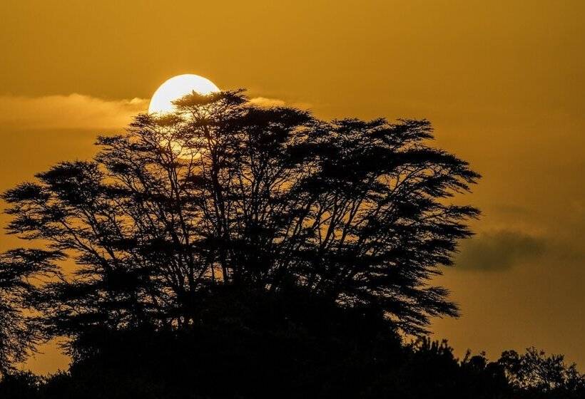 ホテル Shu'mata Camp