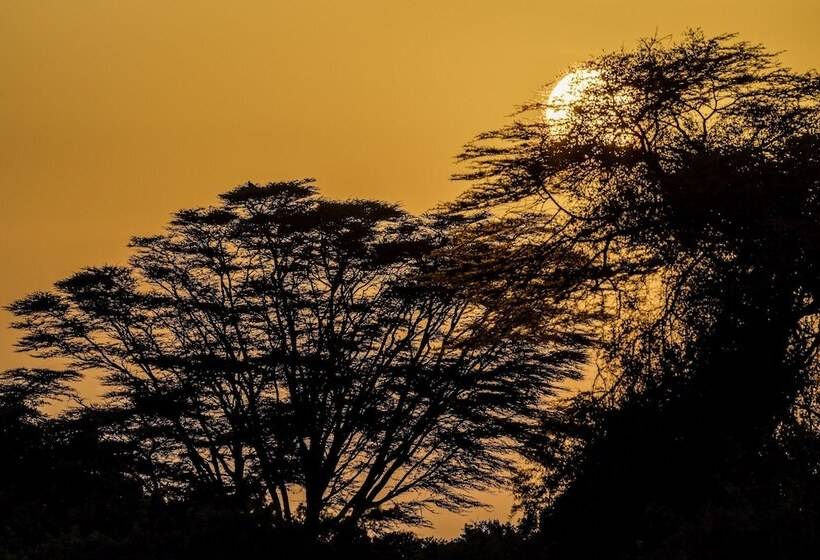 ホテル Shu'mata Camp