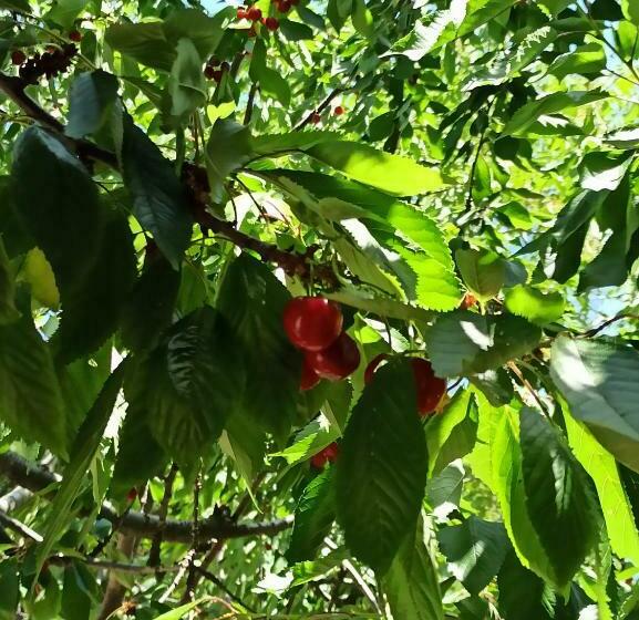 בית מלון כפרי Sunset Troia