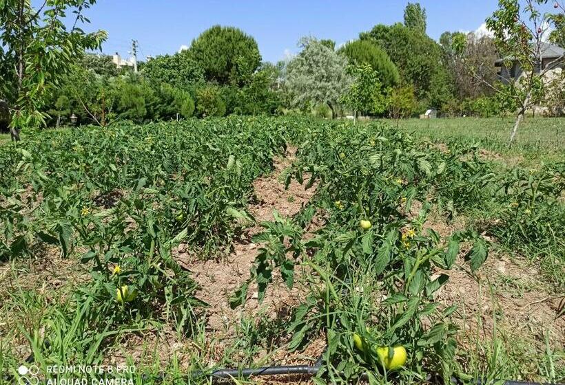 בית מלון כפרי Sunset Troia