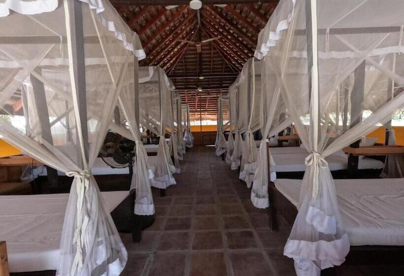 בית מלון כפרי The Cove Pasikuda