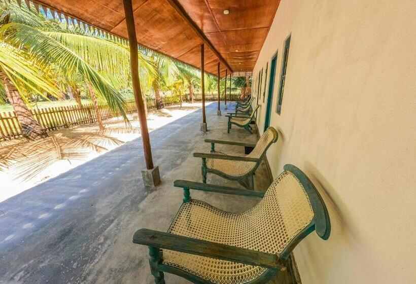 בית מלון כפרי The Cove Pasikuda