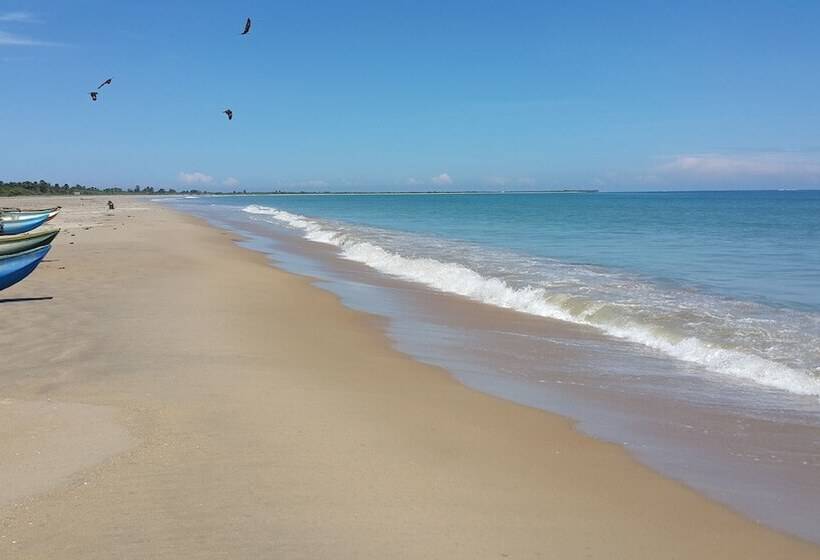 בית מלון כפרי The Cove Pasikuda