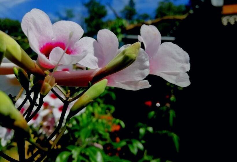 ホテル The Wisdom Home