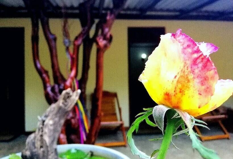 ホテル The Wisdom Home