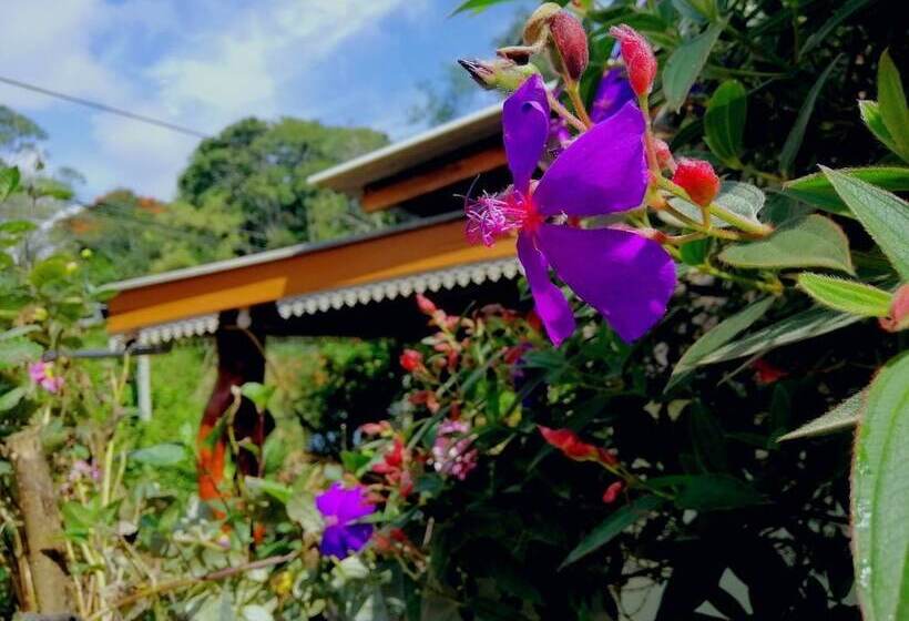 ホテル The Wisdom Home