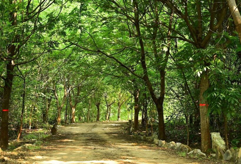 فندق Tigers Heaven Resort