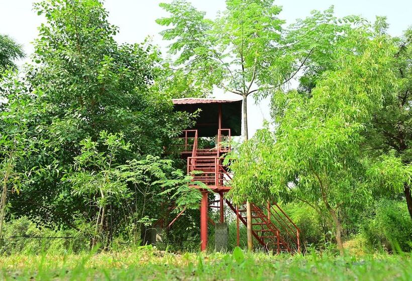 فندق Tigers Heaven Resort