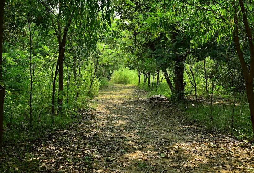 فندق Tigers Heaven Resort