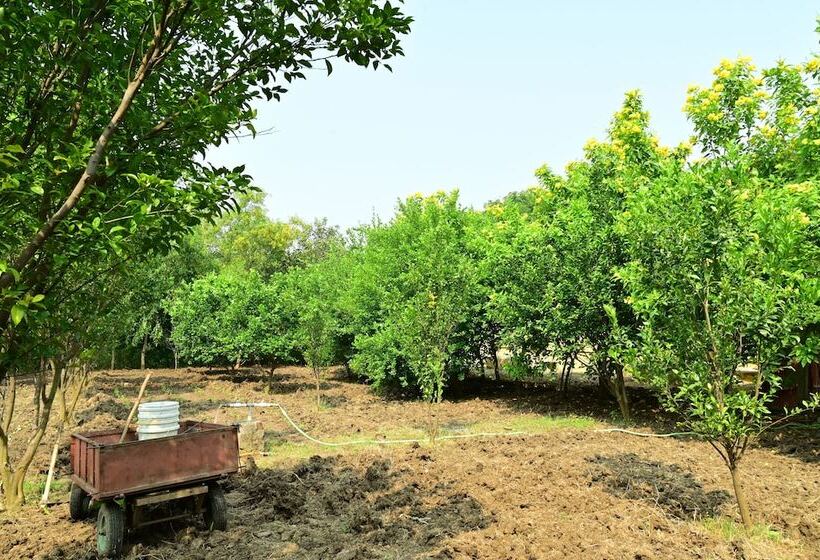 فندق Tigers Heaven Resort