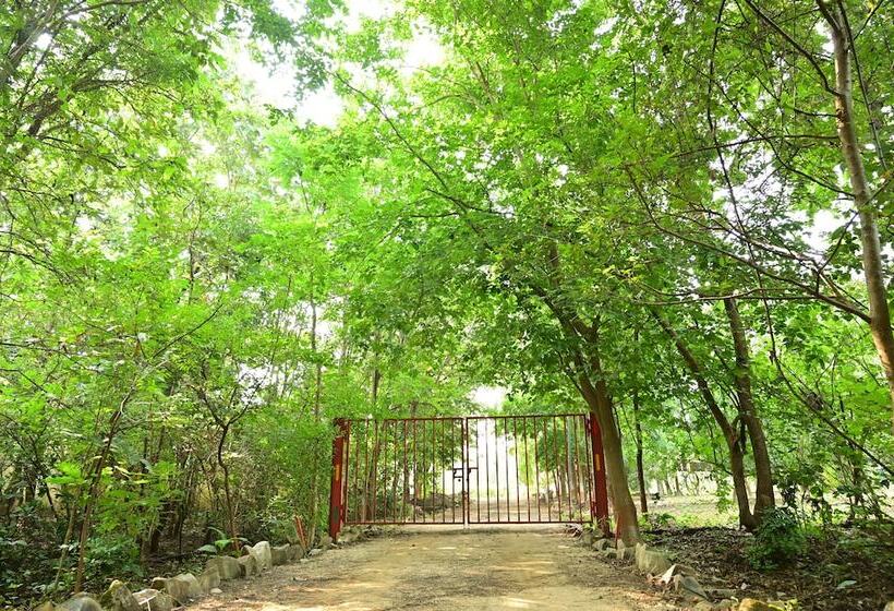 فندق Tigers Heaven Resort