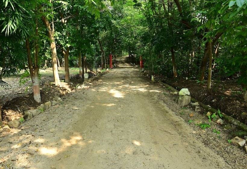 فندق Tigers Heaven Resort