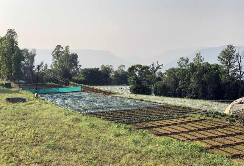 فندق Valley Exotica