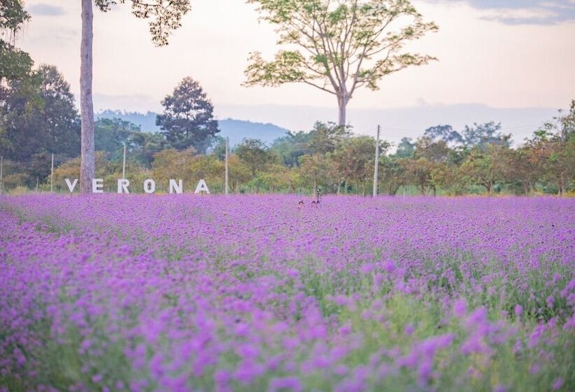 فندق Verona Boutique