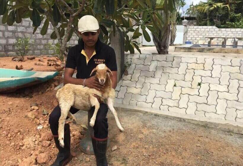 בית מלון כפרי White Peacocks And Birds Resort