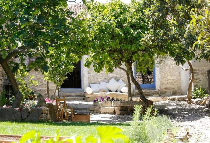 Mario Cesare   Exclusive B&b