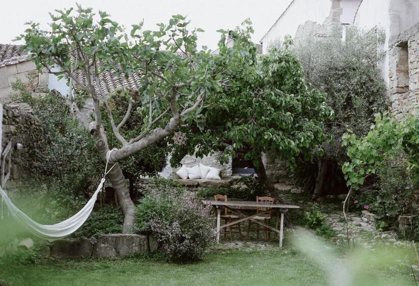 Mario Cesare   Exclusive B&b