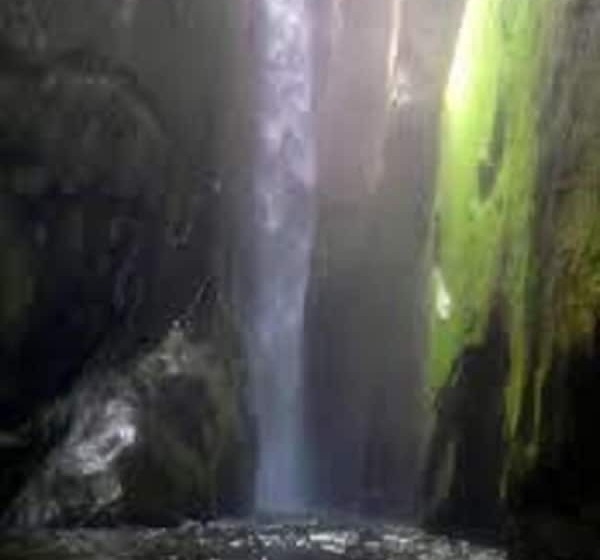 Orchard Valley Resort