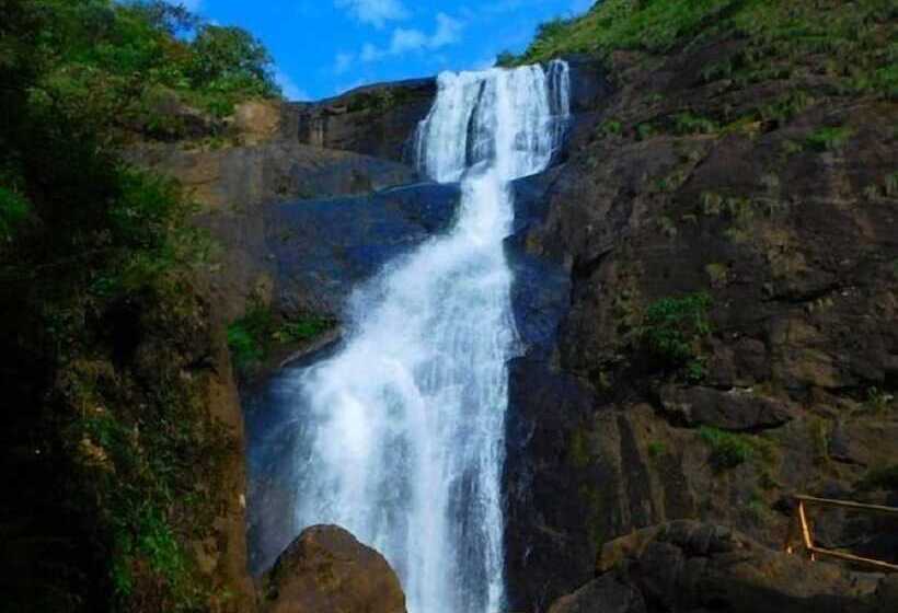 Orchard Valley Resort