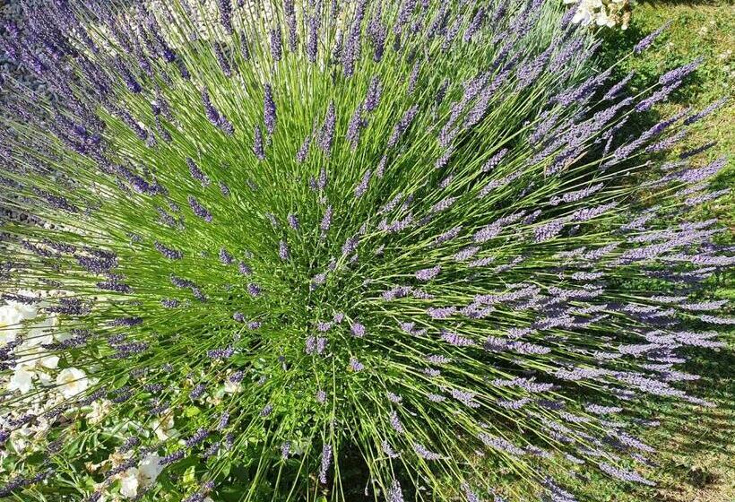 ペンション B&b   Le Clos Aux Masques