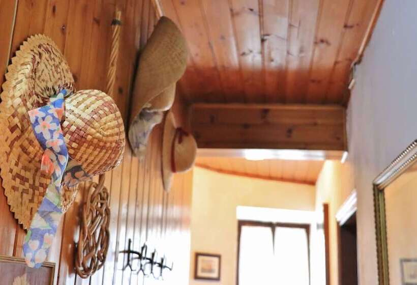 פנסיון Casa Vacanze  800