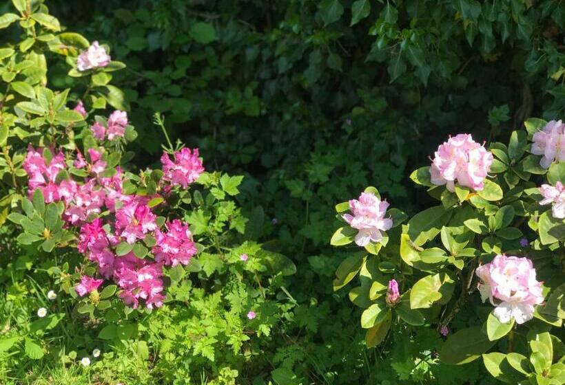 膳宿费 Chambre D Hotes  Coquelicot