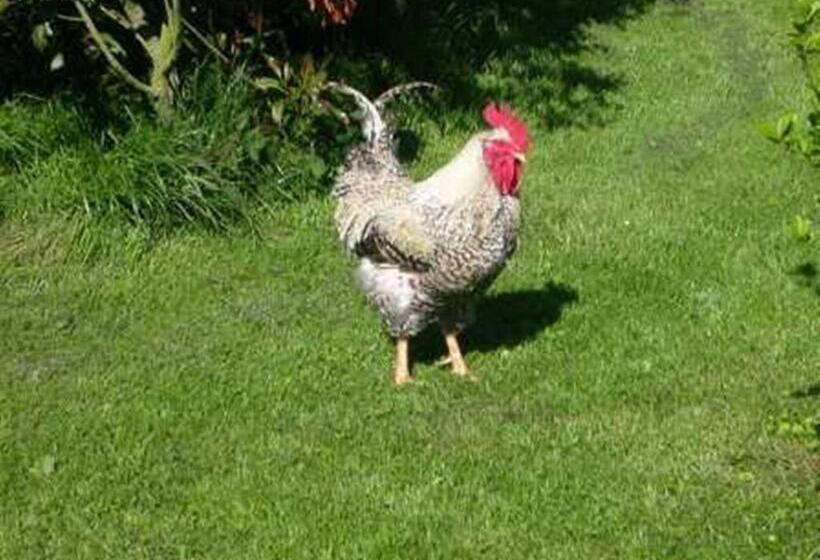 بنسيون Chez Beaumont