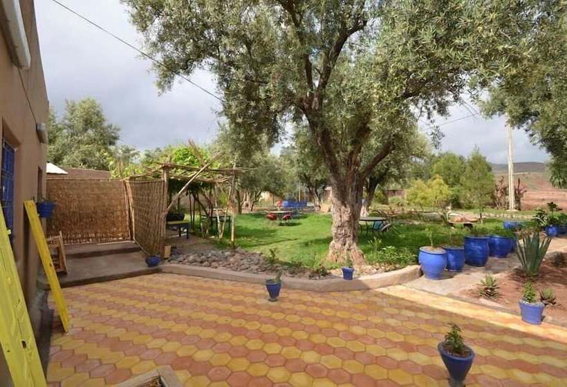 بنسيون Dar Bohota