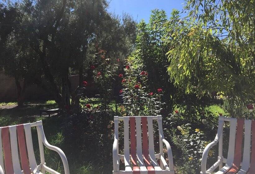 بنسيون Dar Bohota