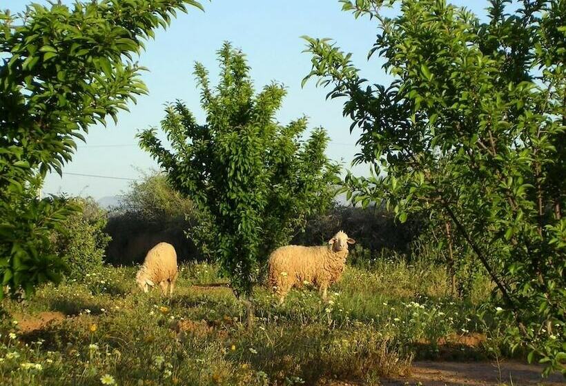 بنسيون Dar Idar Tafdna