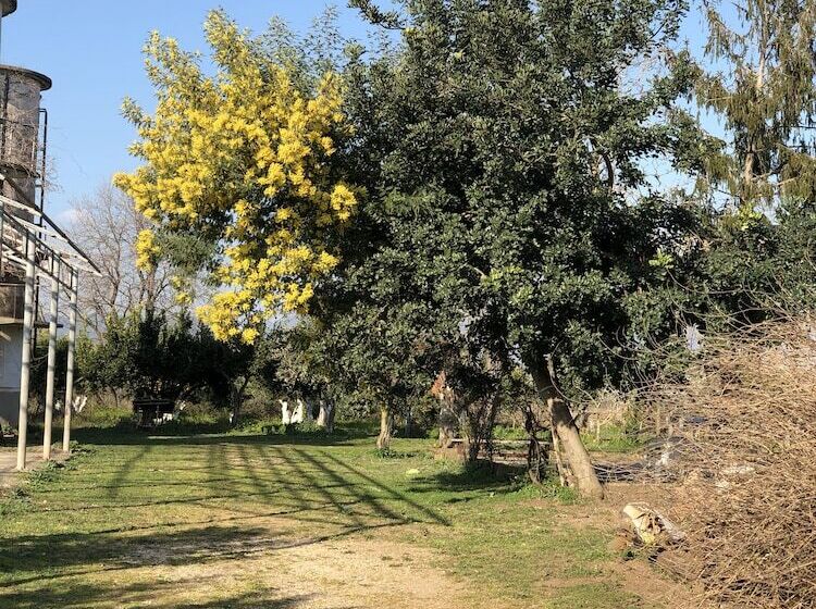 بنسيون Decriresort