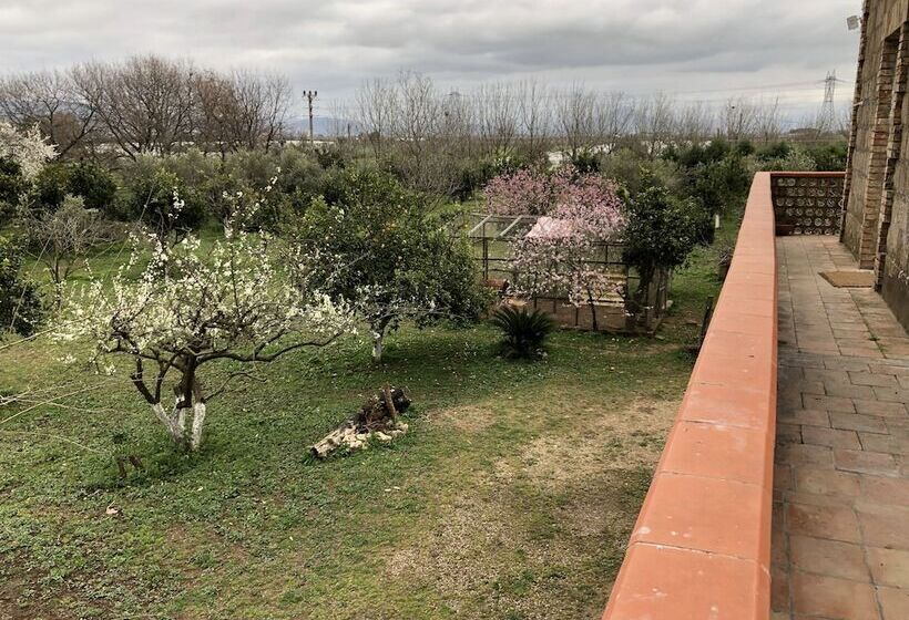 بنسيون Decriresort