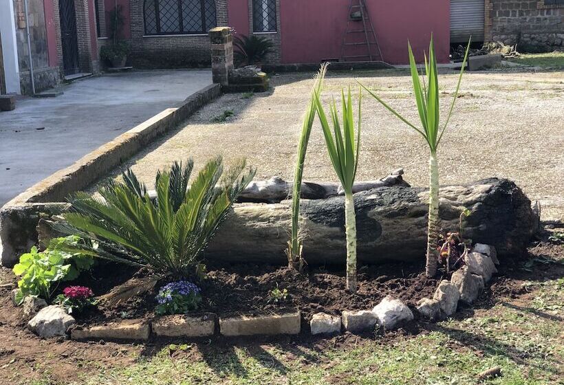 بنسيون Decriresort