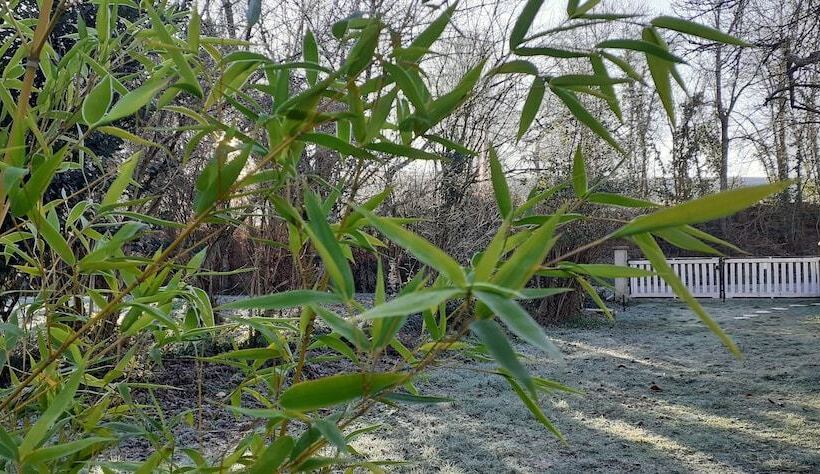 بنسيون Domaine Pastel