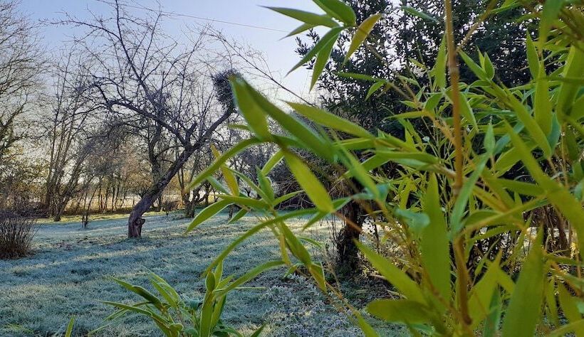 بنسيون Domaine Pastel