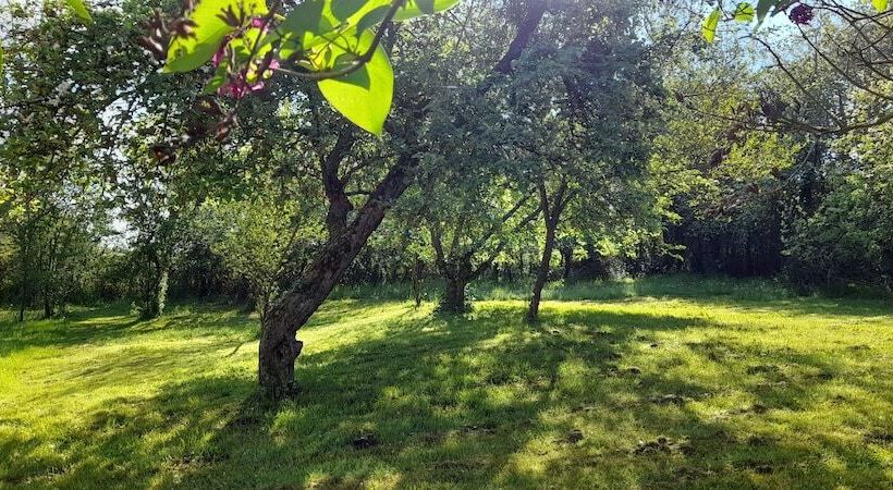 بنسيون Domaine Pastel