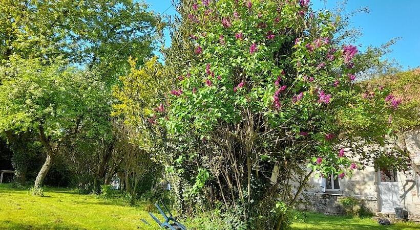 פנסיון Domaine Pastel