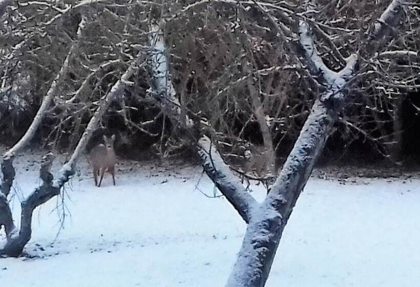 بنسيون Domaine Pastel