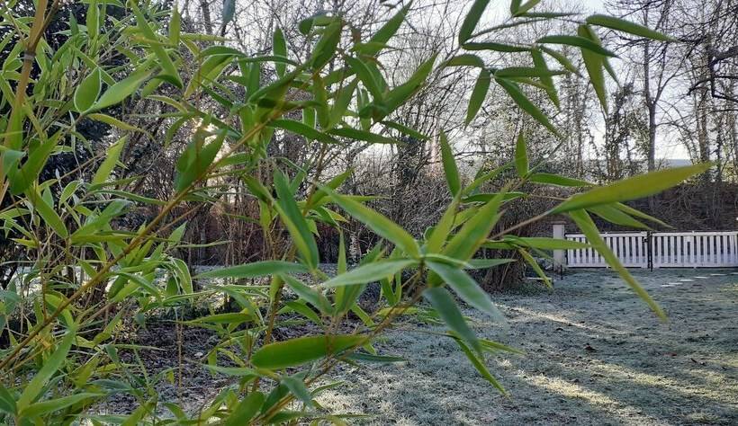 بنسيون Domaine Pastel