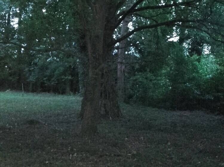 بنسيون Domaine Pastel