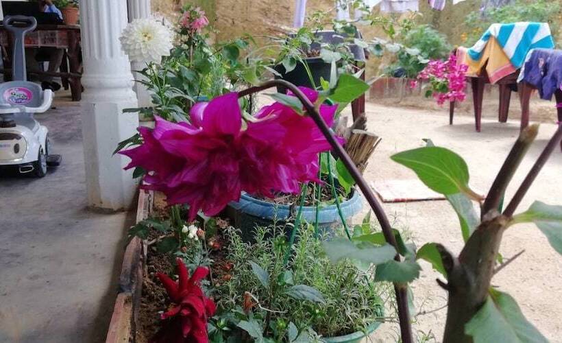 بنسيون Ella Forest Eco View