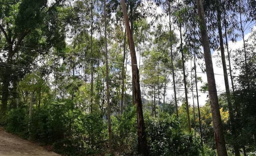 بنسيون Ella Forest Eco View