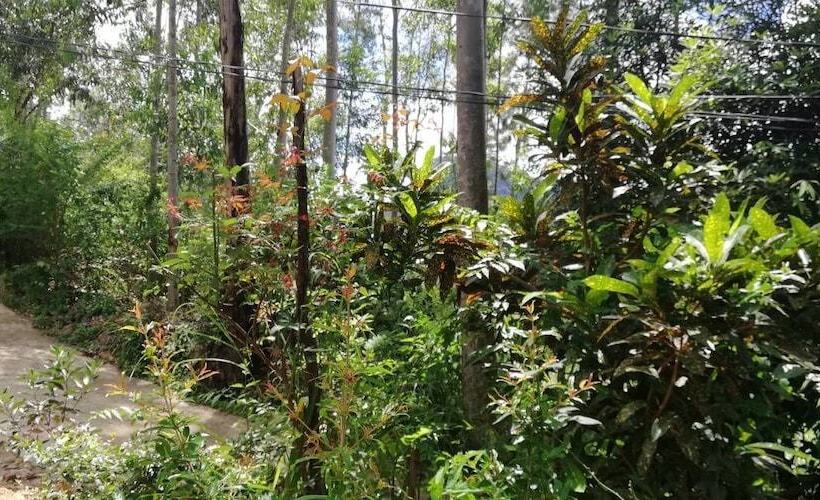 بنسيون Ella Forest Eco View