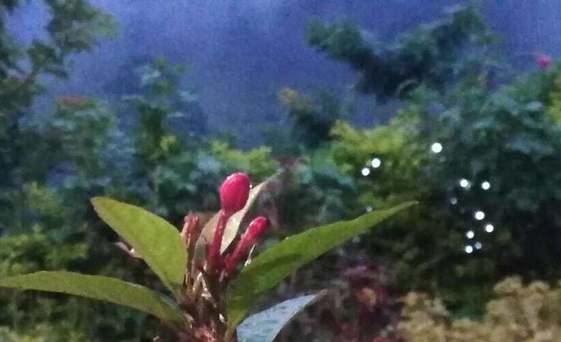 פנסיון Ella Summer Lesser