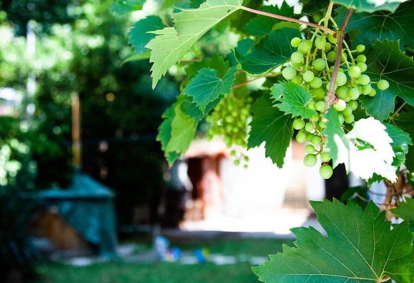 Пансион Family Dream Lino